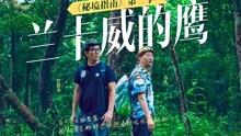 虫虫助手下载