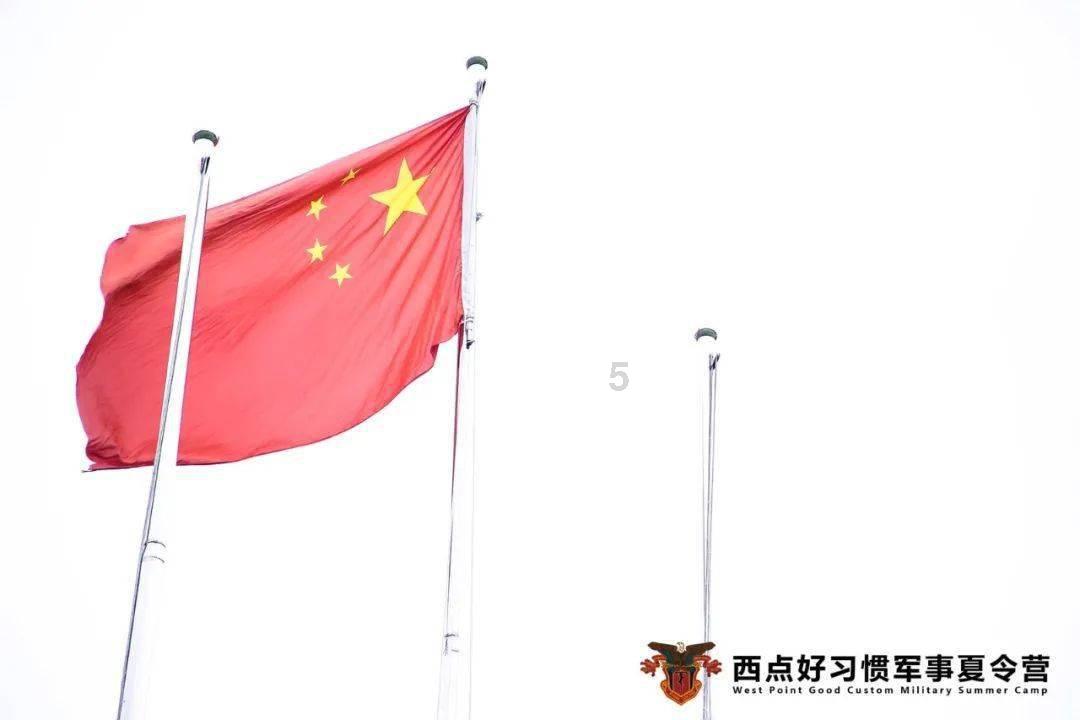 春雨直播app